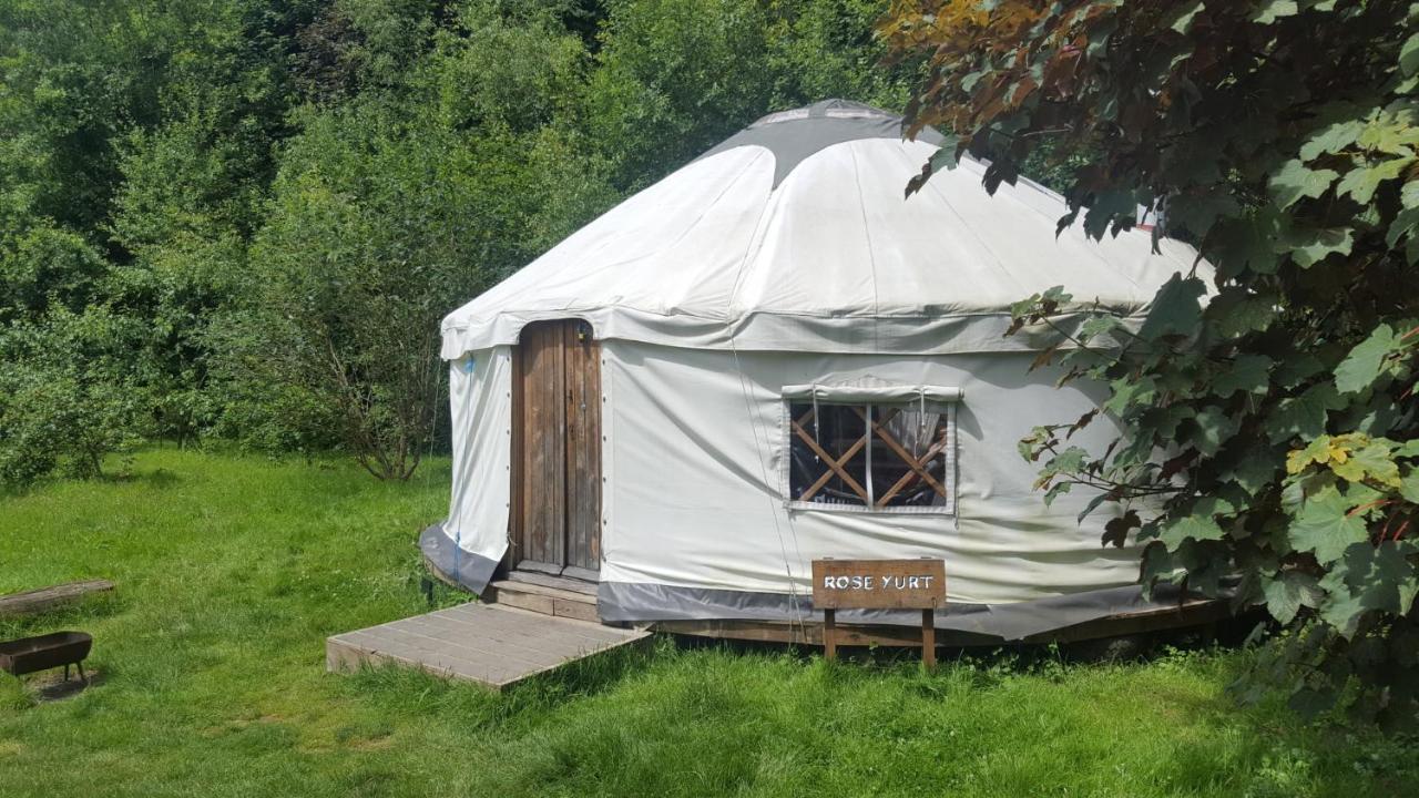 South Downs Eco Lodge & Camping East Meon Eksteriør billede