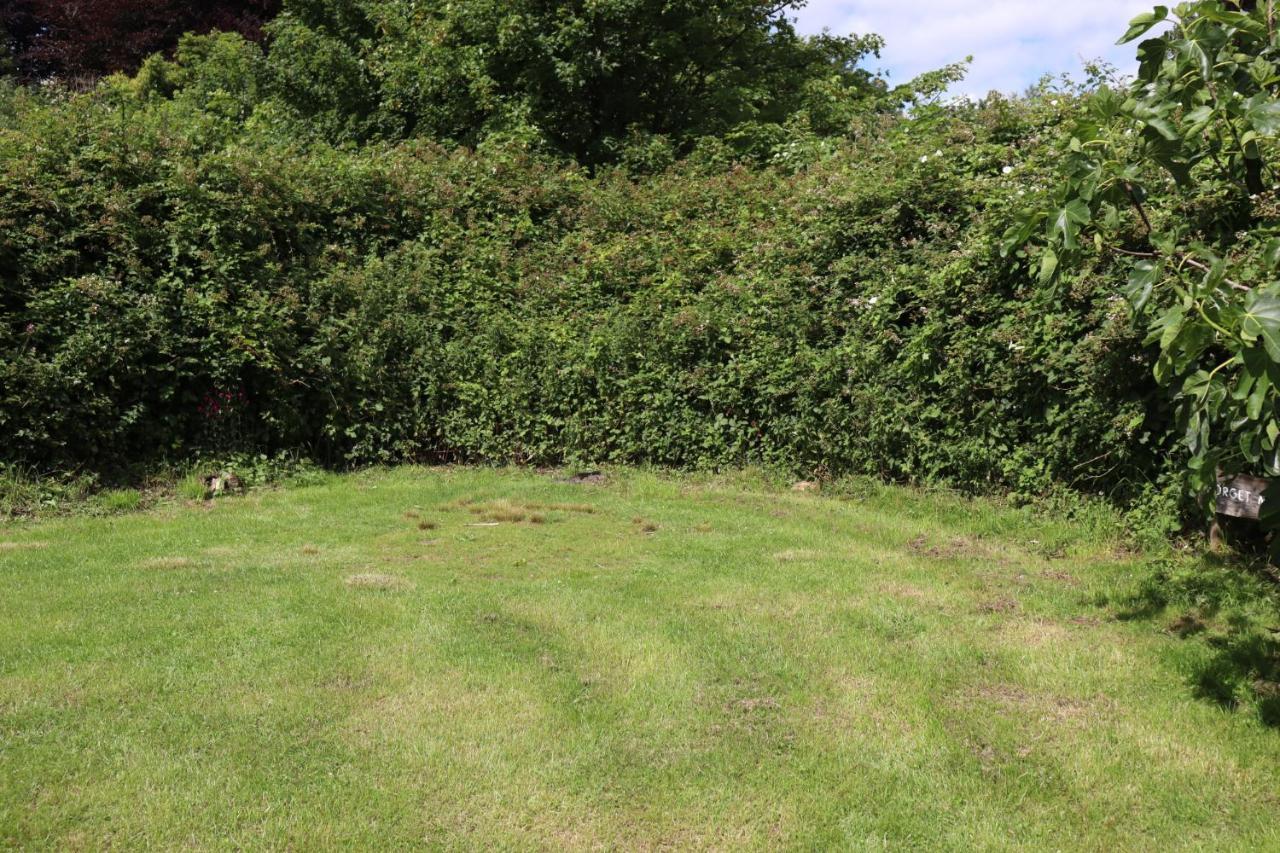 South Downs Eco Lodge & Camping East Meon Eksteriør billede
