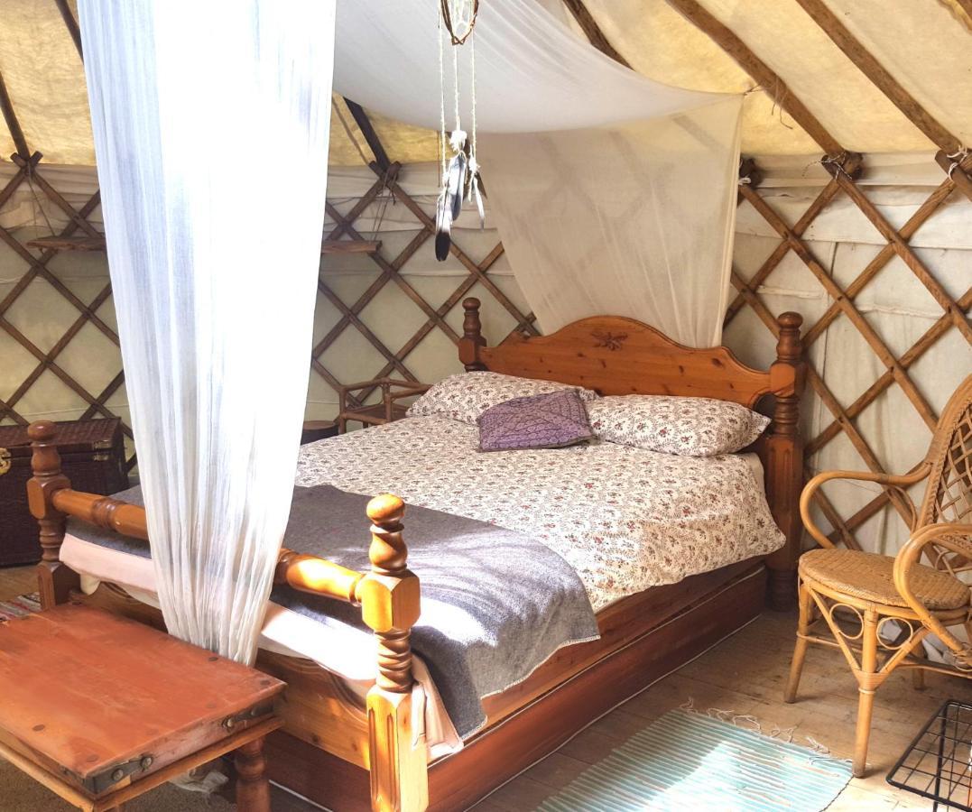 South Downs Eco Lodge & Camping East Meon Eksteriør billede