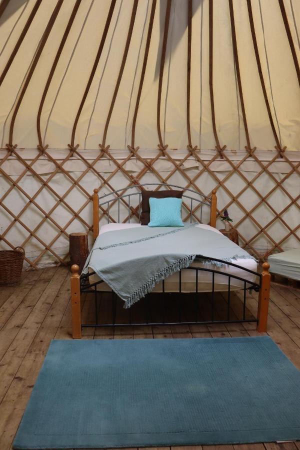 South Downs Eco Lodge & Camping East Meon Eksteriør billede
