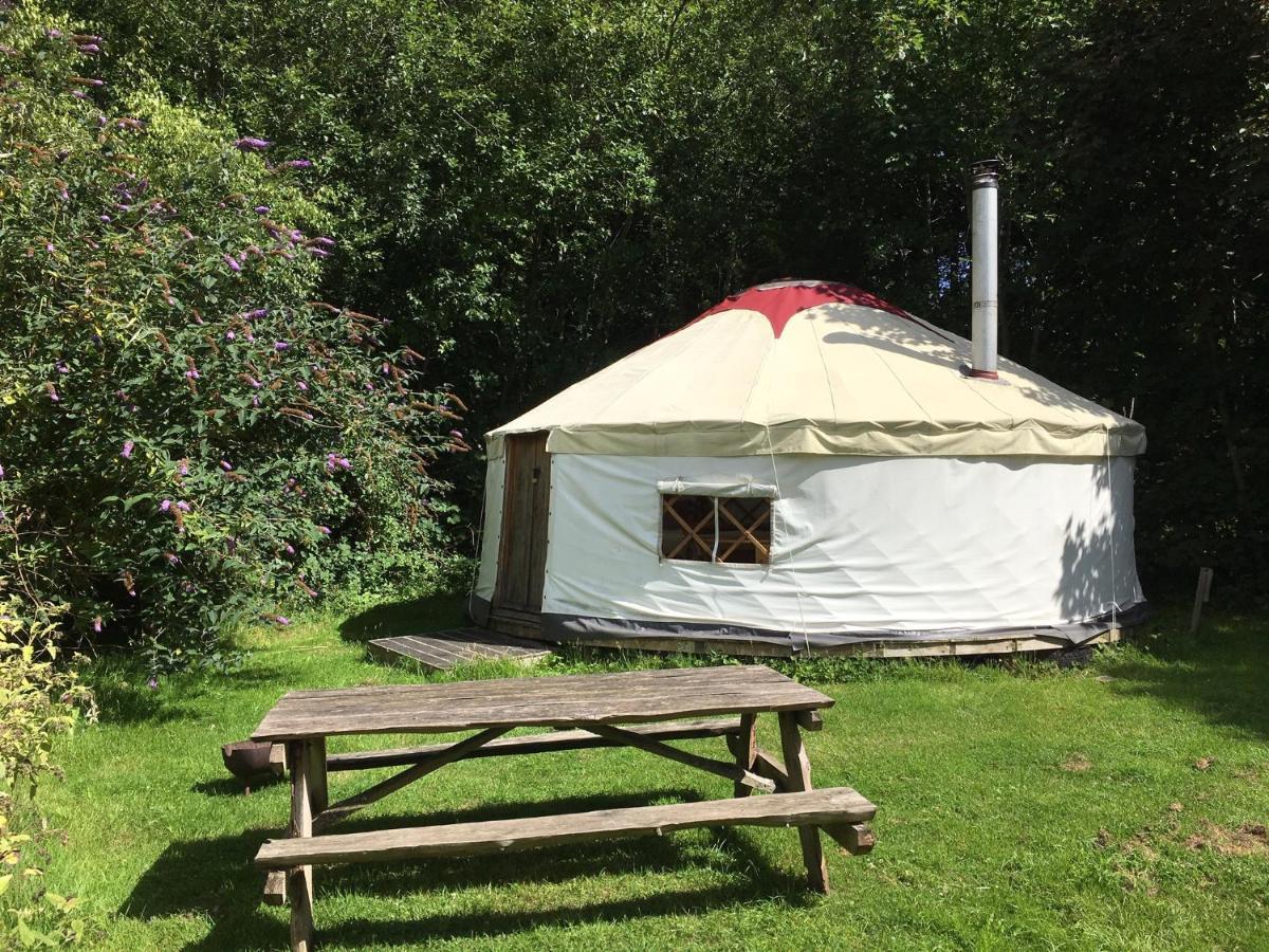 South Downs Eco Lodge & Camping East Meon Eksteriør billede
