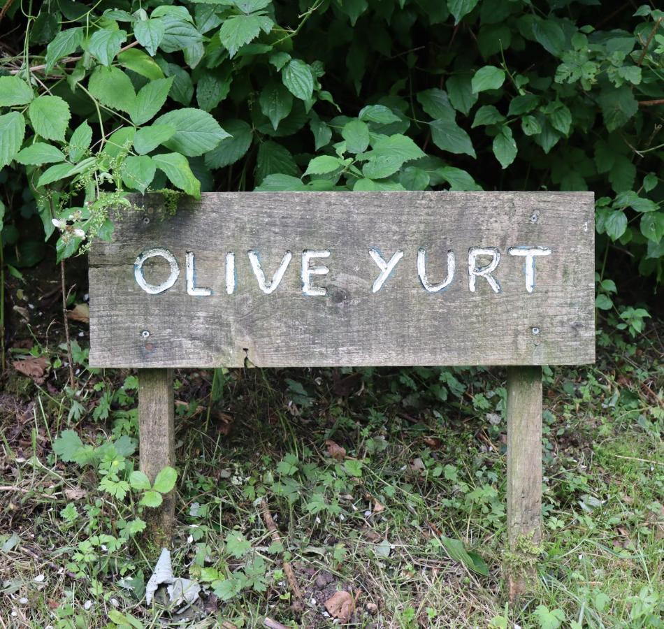 South Downs Eco Lodge & Camping East Meon Eksteriør billede