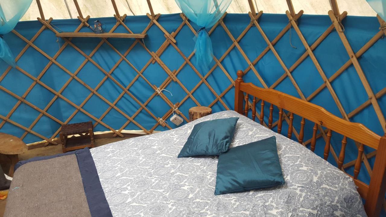 South Downs Eco Lodge & Camping East Meon Eksteriør billede