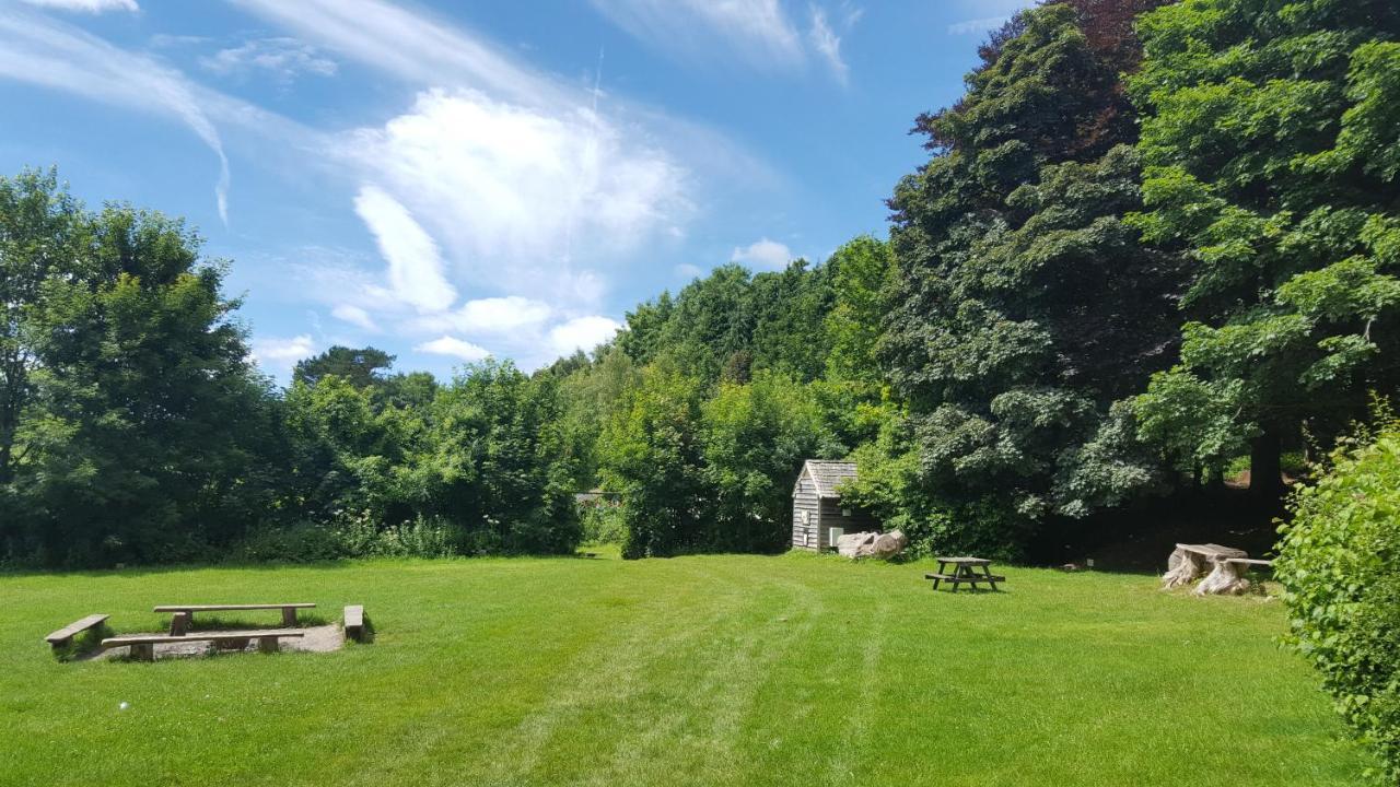 South Downs Eco Lodge & Camping East Meon Eksteriør billede