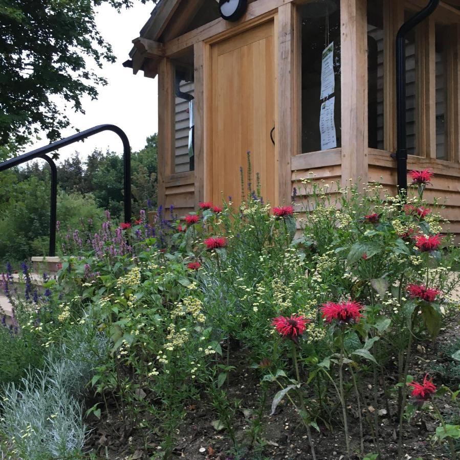 South Downs Eco Lodge & Camping East Meon Eksteriør billede