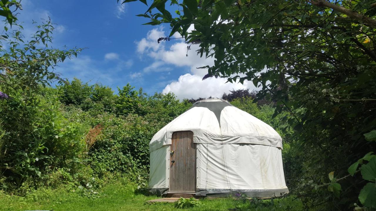 South Downs Eco Lodge & Camping East Meon Eksteriør billede