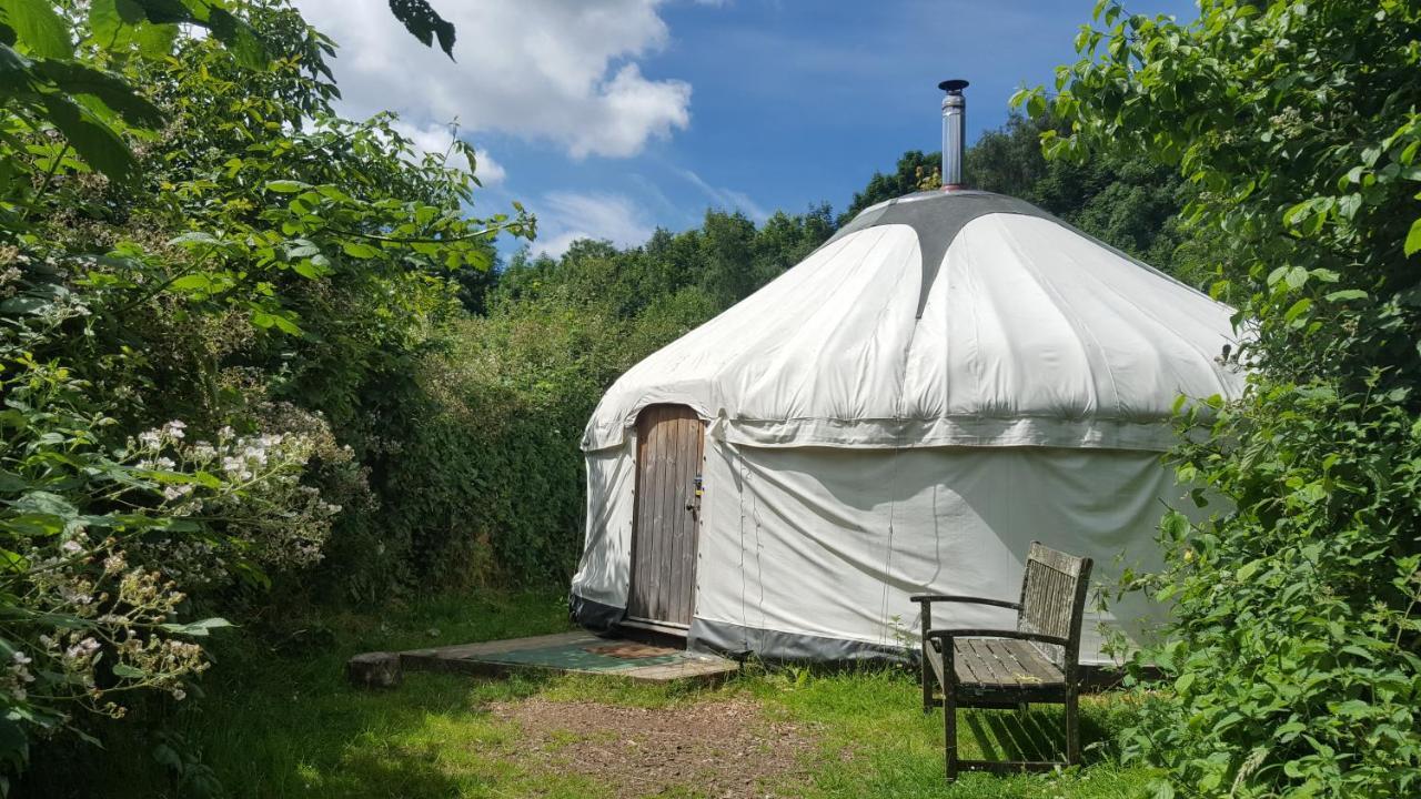 South Downs Eco Lodge & Camping East Meon Eksteriør billede