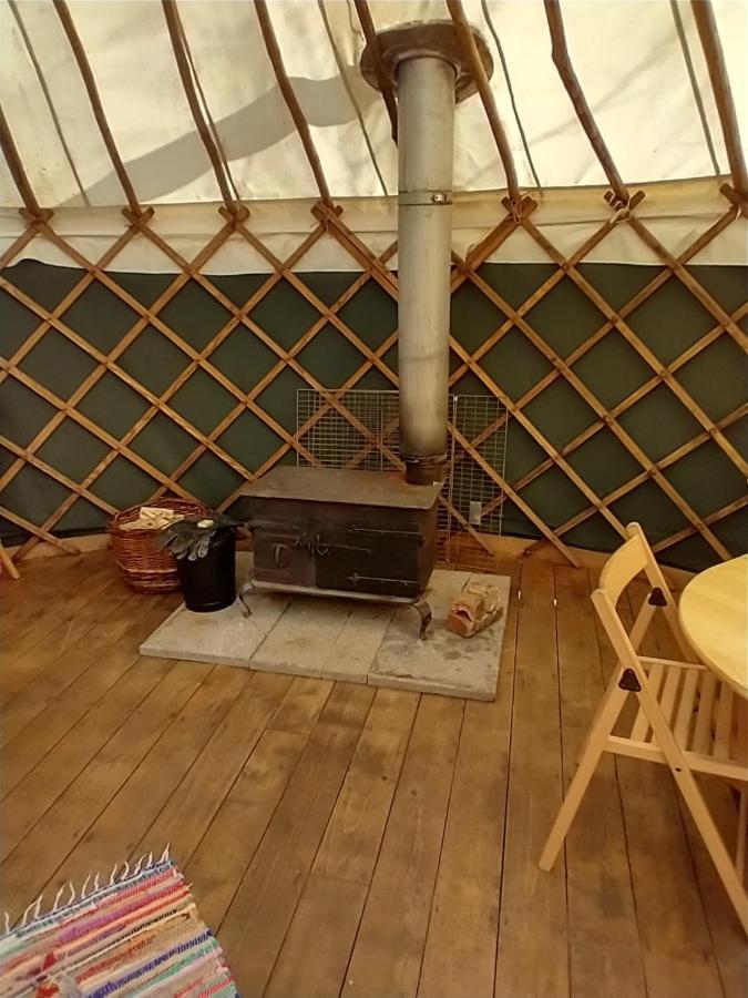 South Downs Eco Lodge & Camping East Meon Eksteriør billede